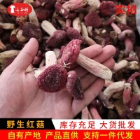 红菇菌 云南特产菌菇干货煲汤食材产地货源 批发代发500g 红蘑菇